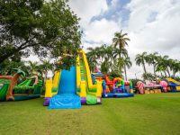 809 Mercado refuerza su agenda con opciones para toda la familia