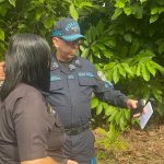 Policía promete boletines oficiales y pide prudencia en caso de niña desaparecida en Barrero