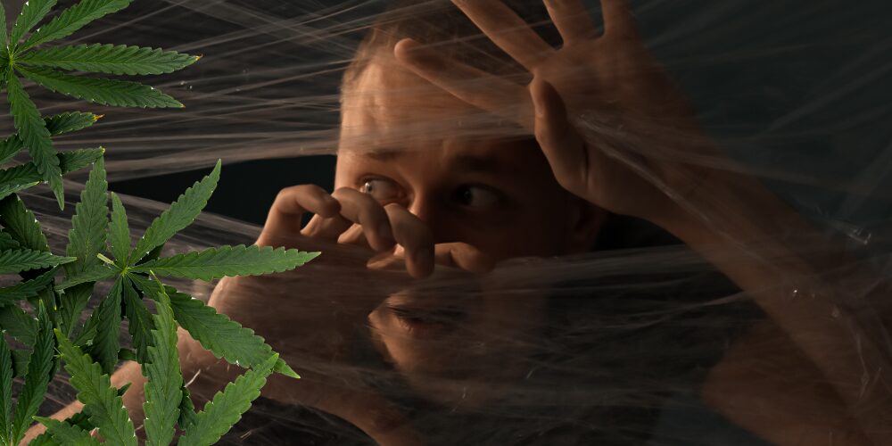 El cánnabis aumenta la inflamación cerebral en episodios psicóticos, según un estudio