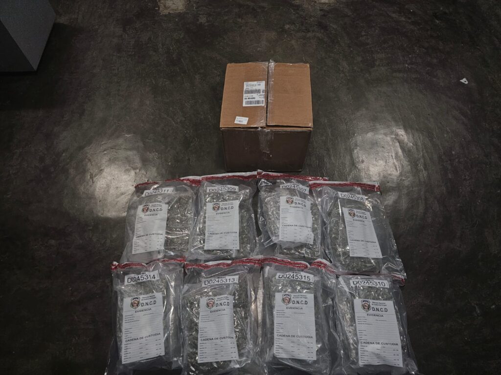 DNCD confisca 15 paquetes de marihuana en el AILA | 4 | DNCD confisca 15 paquetes de marihuana en el AILA - Noticias de hoy en República Dominicana | De Último Minuto